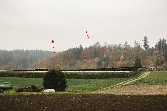 In der Höhe der roten Ballone hätte der Aushub zu liegen kommen können: Das zeigte die Aktion der IG Nein zur Aushubdeponie Steindler/Teufermoos in Würenlos (7. November 2020).