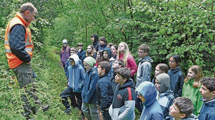 Exkursion in den Wald: Balgacher Primarschüler lernen, wie man einen Baum richtig fällt