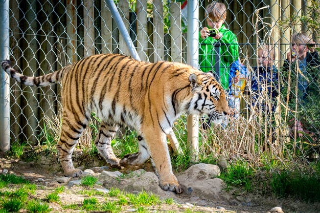 Zunehmend entsteht nun aber der trend, dass unternehmen geimpfte ablehnen. Baerbock Kinder Privatschule - Annalena Baerbock Ist Ein Vorbild In Der Gleichstellung