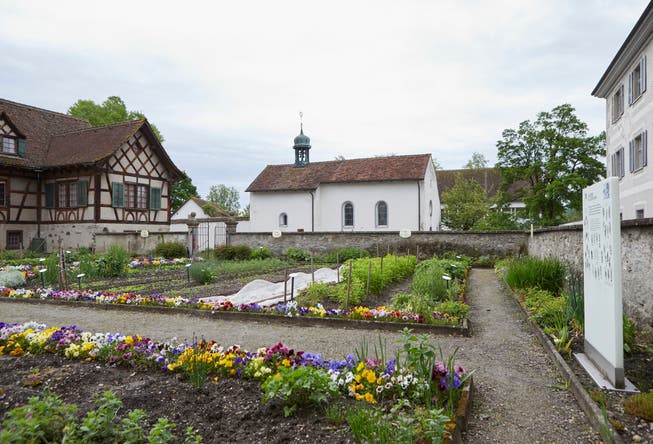 Der erste «Laudato si‘-Garten» der Schweiz kann nun im Kloster Fahr besucht werden. 