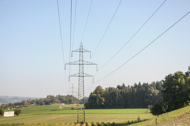 Die 220-kV-Hochspannungsleitung im Reusstal zwischen Niederwil und Obfelden soll auf 380 kV erweitert werden. Motionäre aus dem Freiamt verlangen nun, dass die Kabel unter den Boden verlegt werden. 