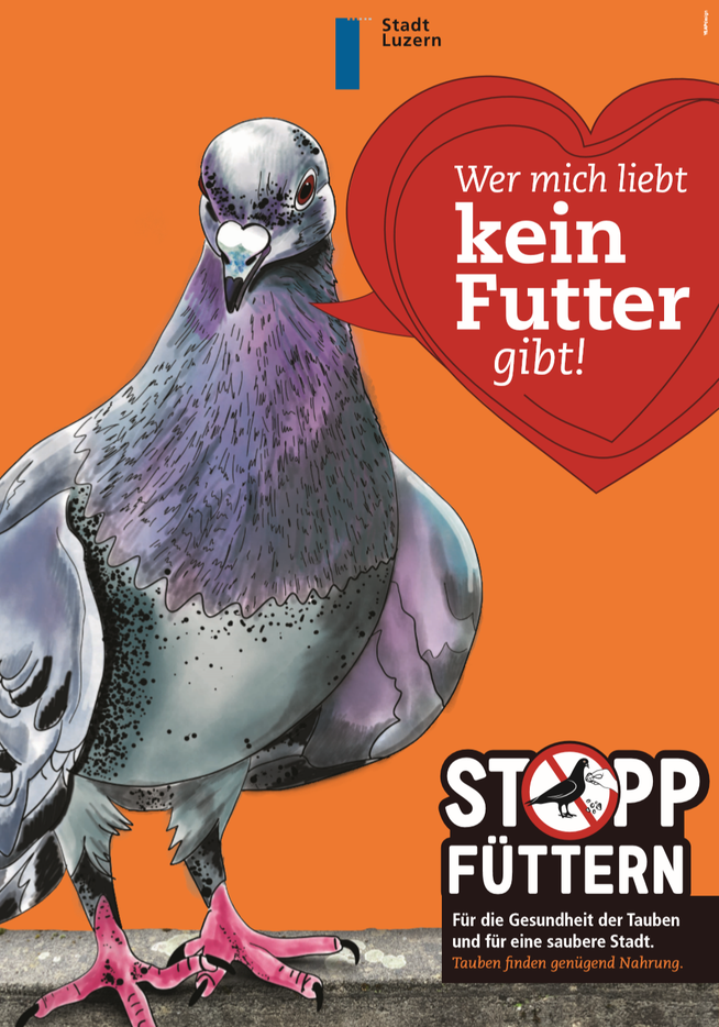 Mit diesem Plakat weist die Stadt Luzern darauf hin, dass Tauben nicht gefüttert werden sollen.