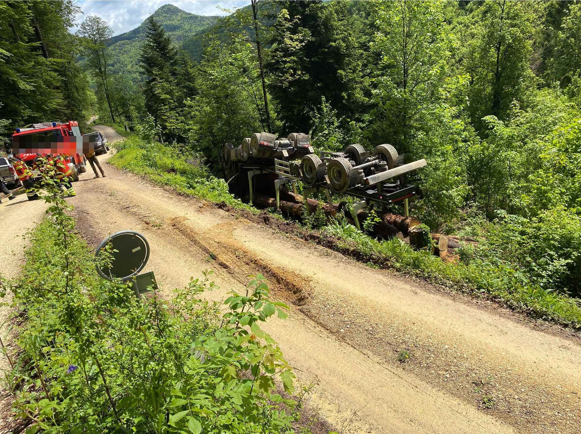 Bärschwil - Lenkerin Verletzt: Mit Holz Beladener Lastwagen überschlägt ...