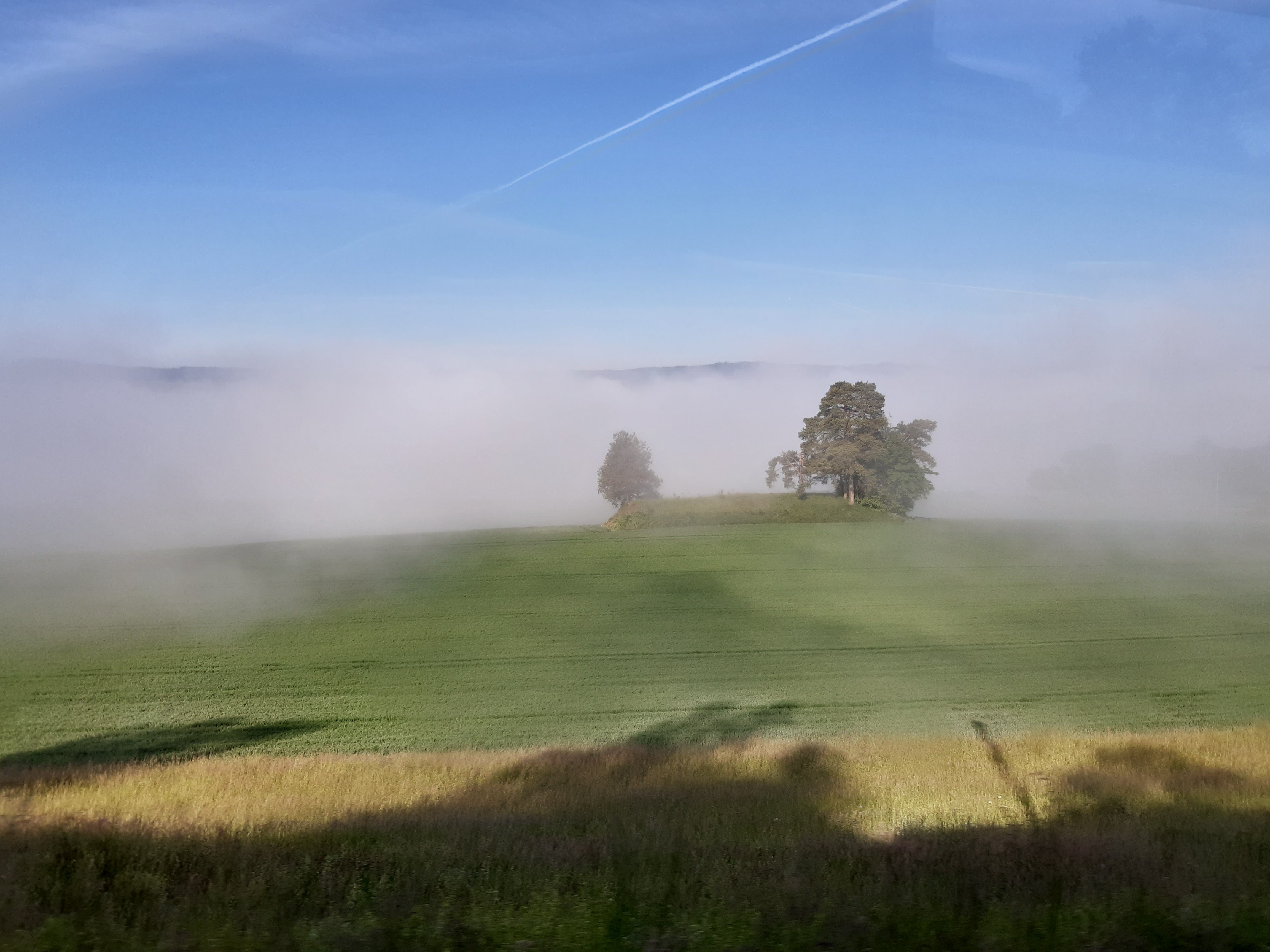 Aussicht auf Bremgarten im Nebel