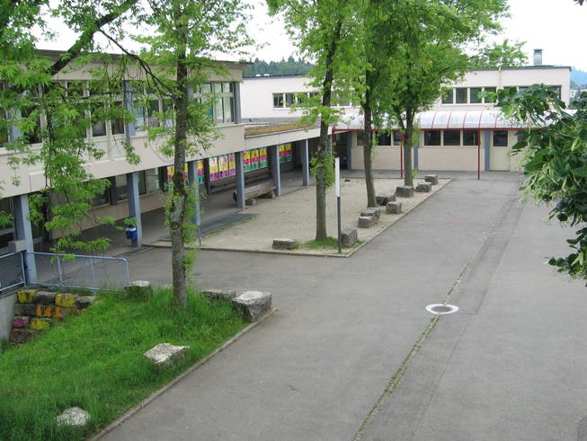 Schulanlage Riniken: Auf Ende Jahr wird die Schulpflege aufgelöst. Ab 2022 soll eine Geschäftsführung die strategische Führung der Schule übernehmen..