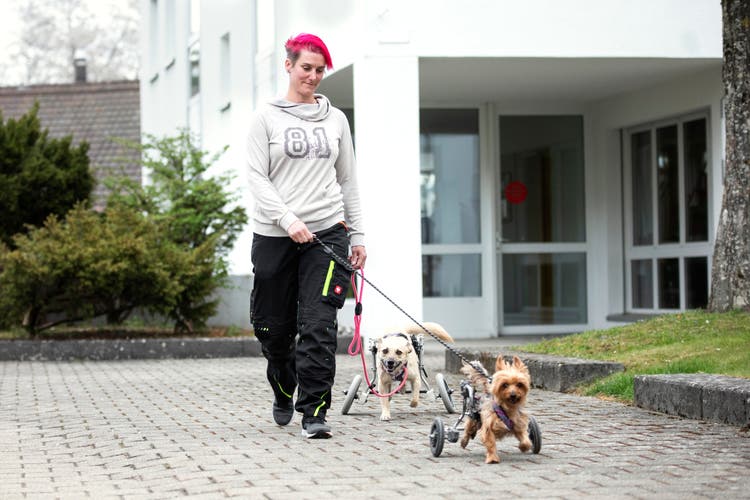 Annabelle Gossweiler aus Kölliken hat den «Happy Handicap Shop» ins Leben gerufen.