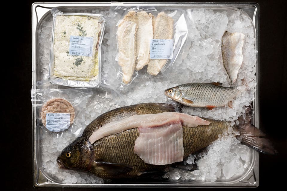 Alle wollen nur Eglifilets – mit einem Trick machen Fischer Konsumenten nun andere Fische schmackhaft