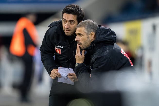 FCL-Trainer Fabio Celestini (rechts) berät sich mit Assistent Genesio Colatrella während einem Super-League-Spiel gegen YB.