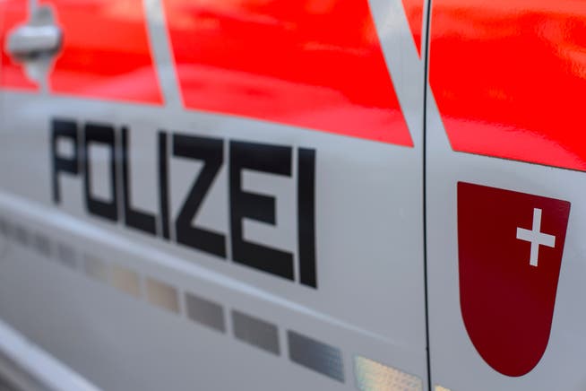 Die Schwyzer Kantonspolizei wurde alarmiert, als Gäste Hilferufe aus dem Wasser hörten.