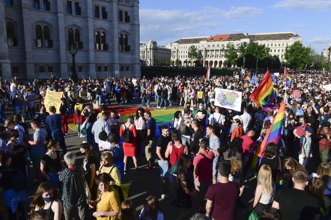 Demonstration in der ungarischen Hauptstadt Budapest gegen Viktor Orbans Anti-Homosexuellen-Gesetz.