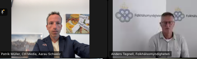 Anders Tegnell beim Interview über Zoom.