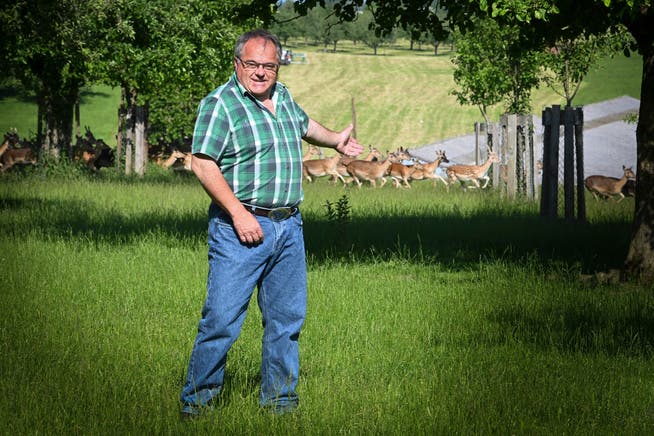 Teilzeit-Landwirt Martin Klingler im Damhirsch-Gehege, welches Unbekannte mutmasslich zerstörten.