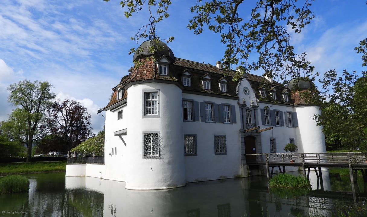 Schloss Bottmingen, verpackt in ein grünes Umfeld.