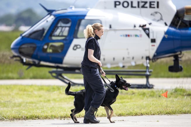 Wegen einer Störung funktionierten die Alarme nicht: Kantonspolizei Zürich. (Symbolbild)