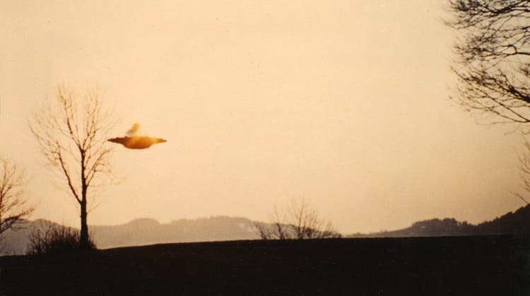 Der Schweizer Billy Meier machte immer wieder mit angeblichen Ufo-Aufnahmen von sich reden. Dieses Bild entstand 1976 ob Fischenthal, ZH. (Billy Meier / INTERFOTO/Keystone)
