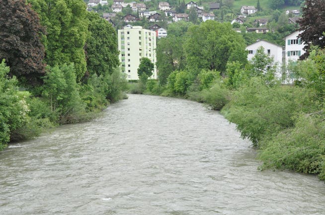 Die Thur bei Wattwil soll saniert werden. Hier, bei der Einmündung des Schmidenbachs, soll eine Musterstrecke errichtet werden.