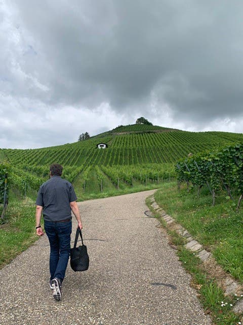 Hinauf gehts zur Weinprobe in Rebbaugebiet von Neckarsulm