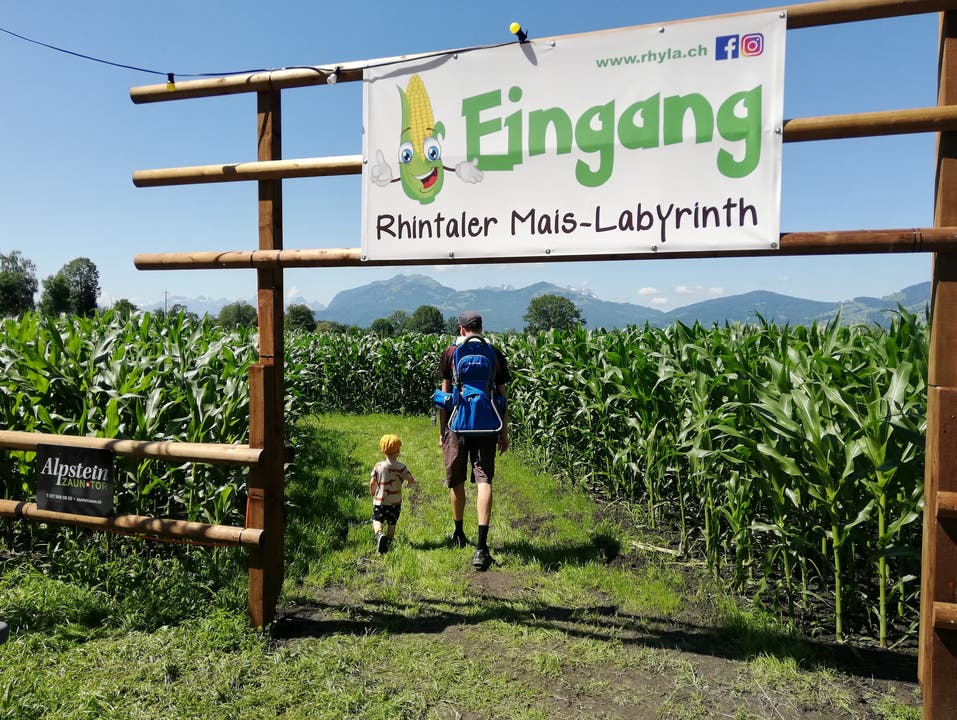 Der Eingang des Rheintaler Mais-Labyrinths in Balgach.