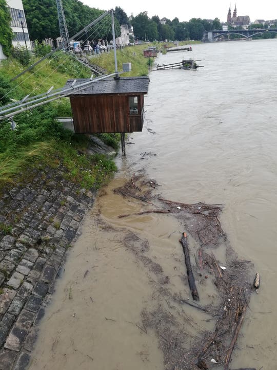 Seit Wochen ist der Wasserstand des Rheins hoch und das Wasser braun.