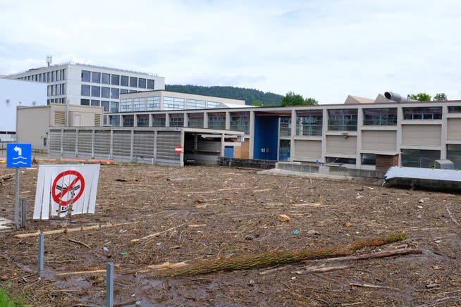 Viel Treibholz in der Limmat in Dietikon.