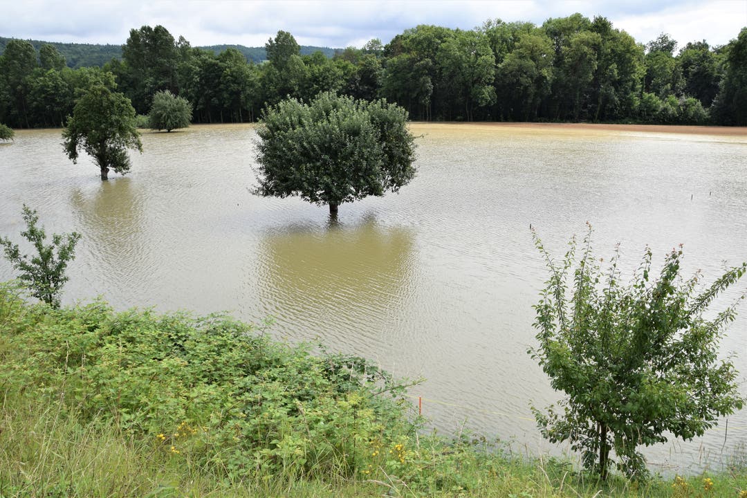 In Brugg-Lauffohr sind die Felder komplett überflutet.