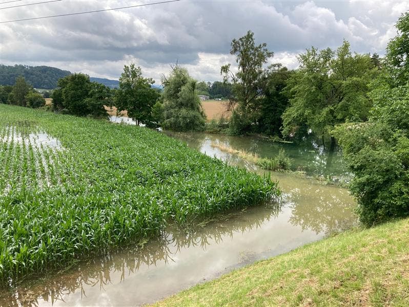 Der Veloweg Koblenz-Klingnau in einem Teil des Naturschutzgebiets beim Kraftwerk Klingnau ist gesperrt und überschwemmt.