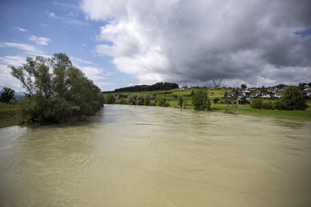 Die Reuss, hier in Mühlau, führt Hochwasser. Es besteht die Gefahr, dass der Reussdamm im Kanton Zug bricht.