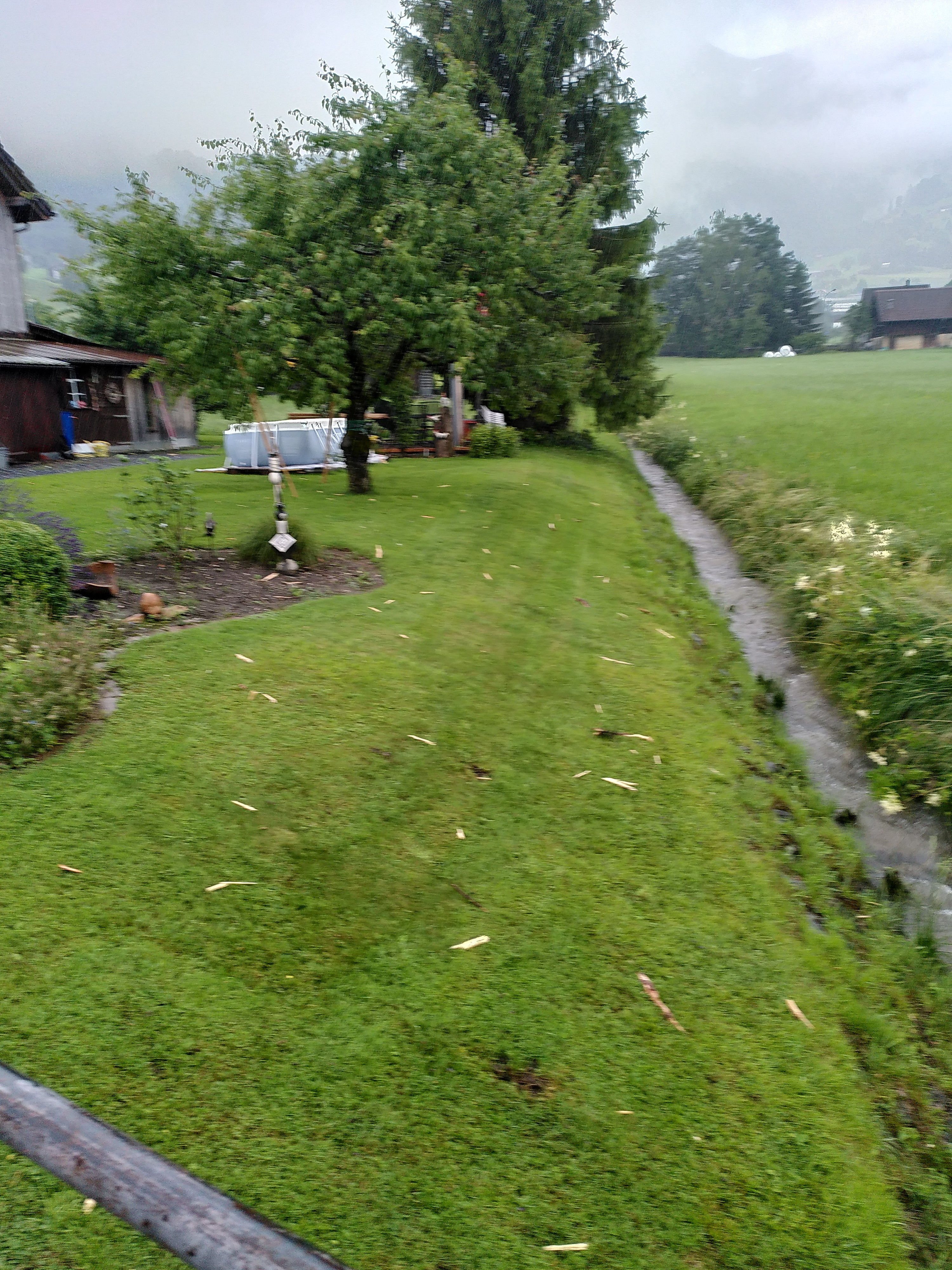 Gewitter In Werdenberg: Baum Wird Durch Blitzeinschlag Gesprengt