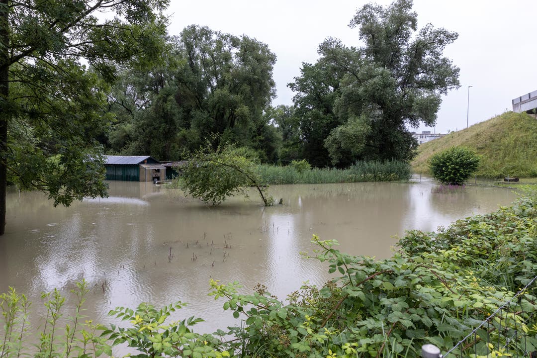 Auch diese Wiese beim Bahnhof Glanzenberg in Dietikon ist überflutet.