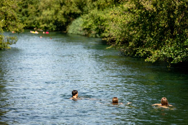 Bei über 36 Grad erfrischen sich diese Schwimmerinnen beim Entennest in Erlinsbach am Hitzetag am 24. Juli 2019.