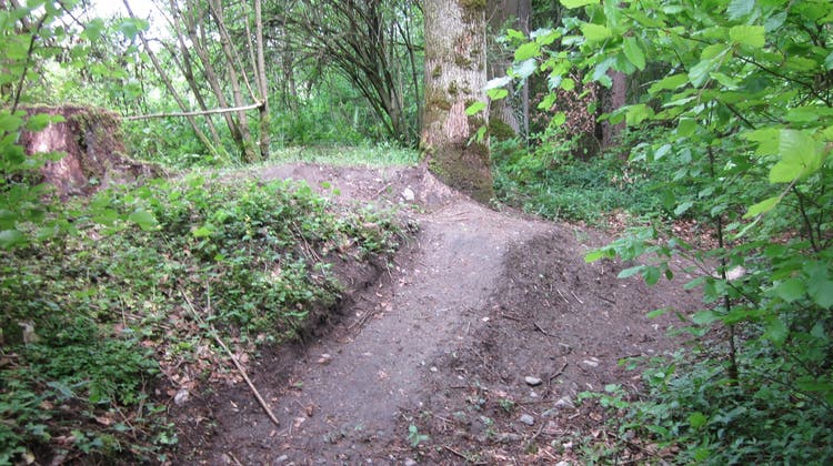 Solche illegal errichteten Mountainbike-Trails gefährden Flora und Fauna. (Bild: PD)