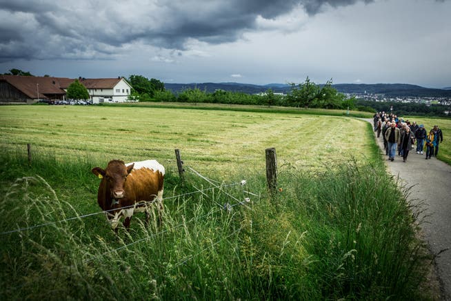 Die Juraweid auf einer Aufnahme vom Mai 2015 .