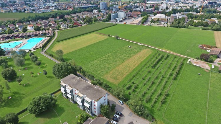 Der Stadtrat Zofingen wies den Initianten das Gebiet hinter dem BZZ (obere Bildmitte) bis zur Badi (links) für eine konkretere Planung zu. (Andi Leemann, Archiv)