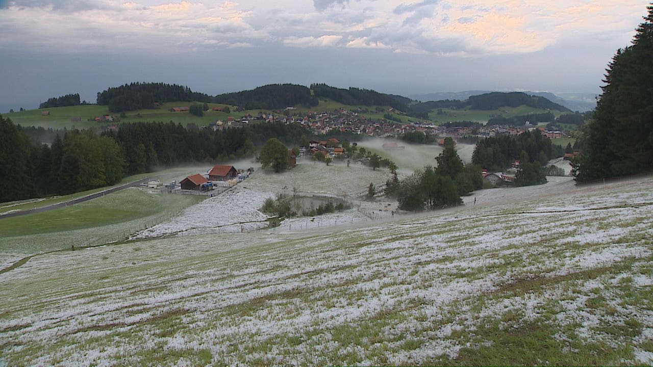 Winterliche Landschaft nach Hagelniederschlag in Oberegg AI.