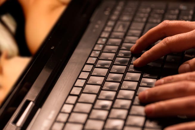 Eine Reportage über das Darknet gab für einen 38-Jährigen den Anstoss, sich Dateien mit kinder- und tierpornografischen Inhalten zu beschaffen.