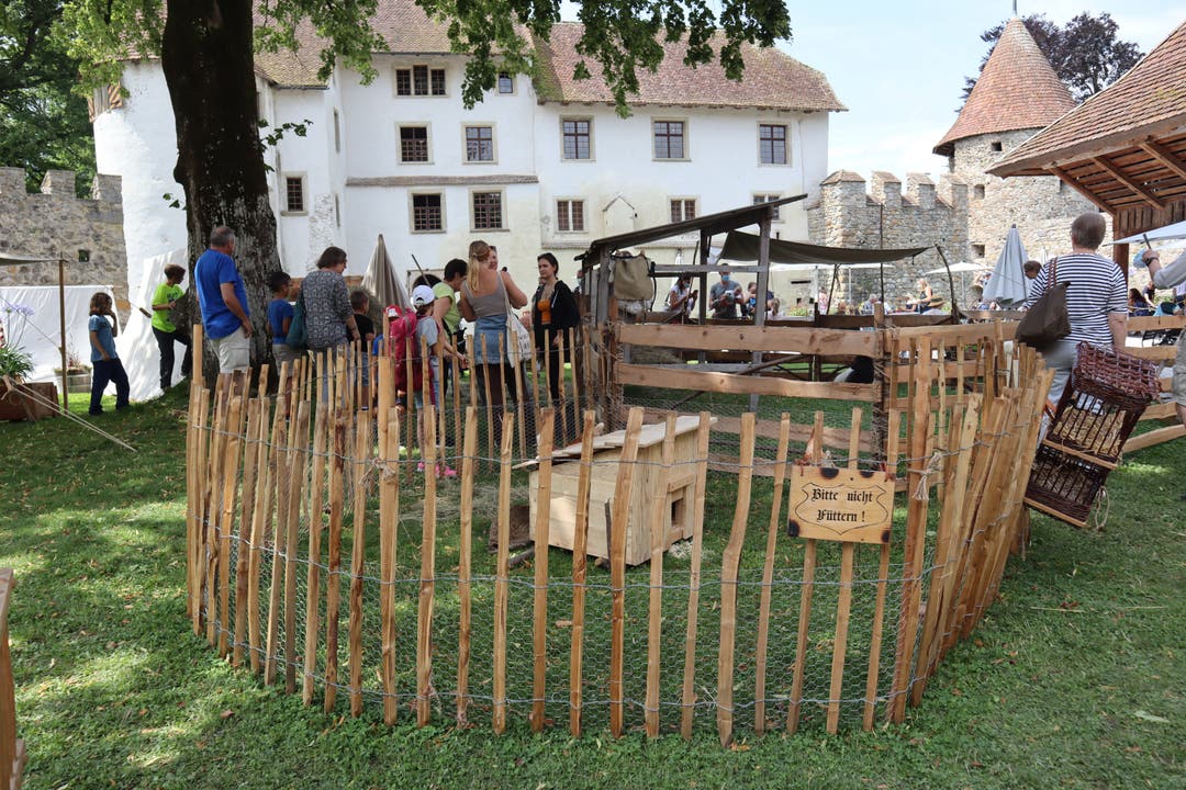 Impressionen Themenwoche «Leben im Mittelalter auf Schloss Hallwyl». 