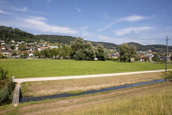 Auf dieser Wiese an der Aare, kurz bevor der Fluss in den Klingnauer Stausee mündet, sollen dereinst der FC Klingnau (ganz links) und der Reitverein Klingnau trainieren. 