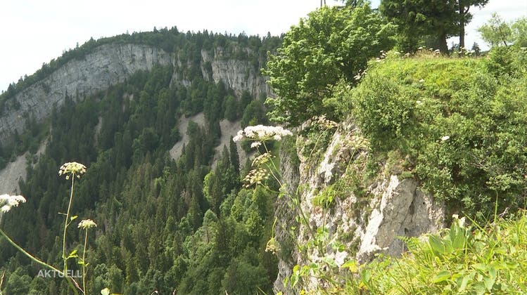 Der Bettlachstock, hier die Sicht vom Bettlachstock Richtung Wandfluh, wird als Welt-Naturerbe ausgezeichnet. (Andreas Toggweiler)