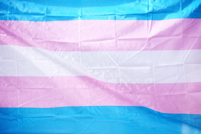 Die Fahne für trans Menschen wurde 1999 designt. Sie soll die Community repräsentieren, die aus Männern (hellblau), Frauen (rosa) und nonbinären Menschen (weiss) besteht.