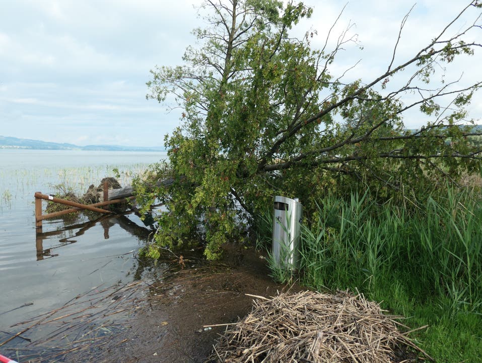 29. Juli: Überschwemmung in der Gemeinde Sempach.