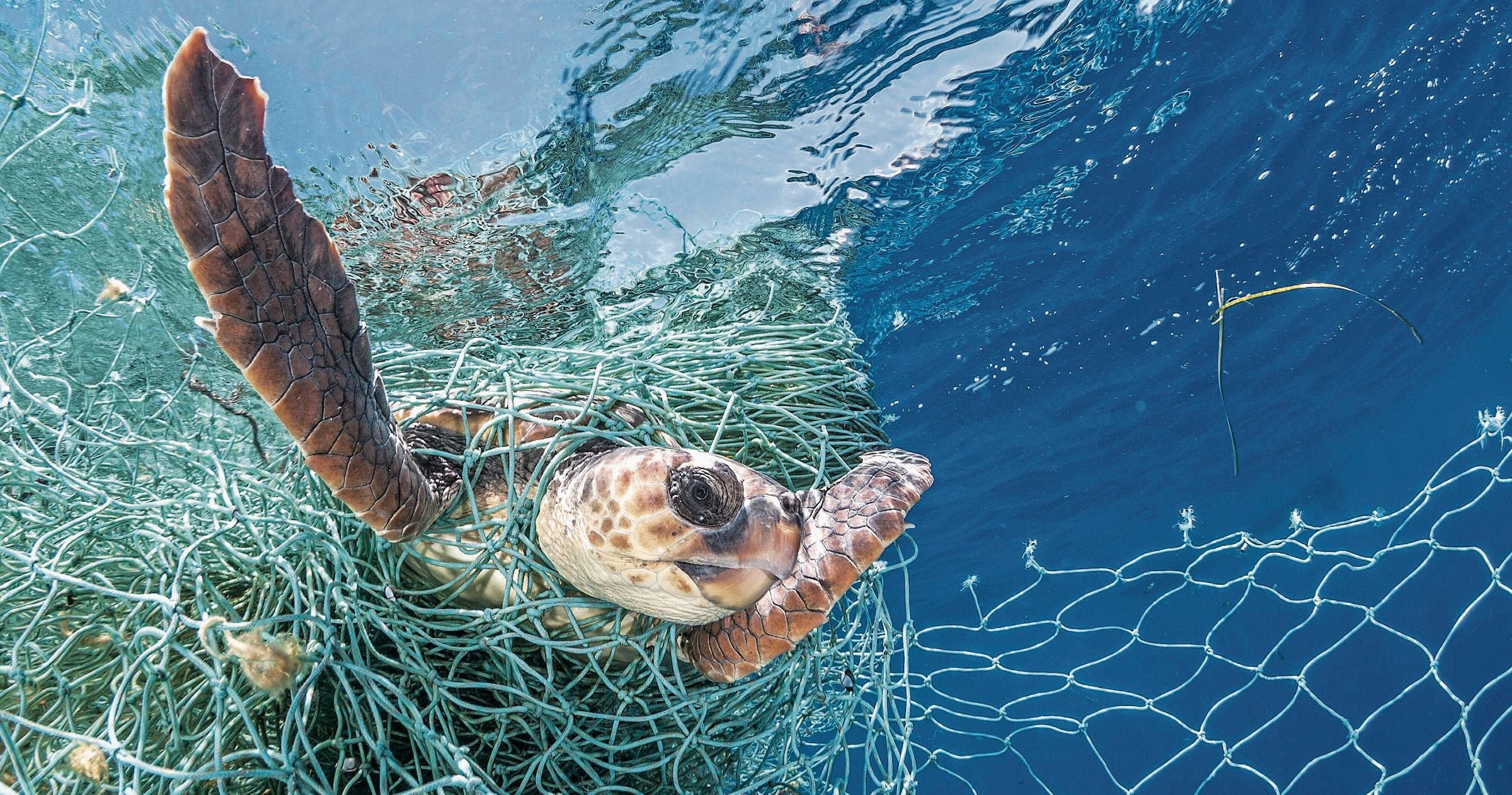 Plastik Im Meer: Wie Schweizer Mode Die Umwelt Retten Könnte