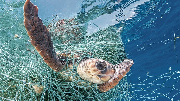 Im Meer sind verlorene Fischernetze gefährlich für Tiere, an Land werden sie zu hochwertigem Nylon. (Bild: Imago)