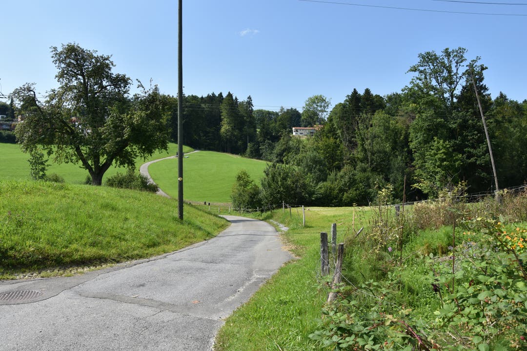 Nach der Kreuzung geht es ein steileres Stück nach Engelburg. Vor dem Eingang zum kleinen Waldstück steht eine Bank.