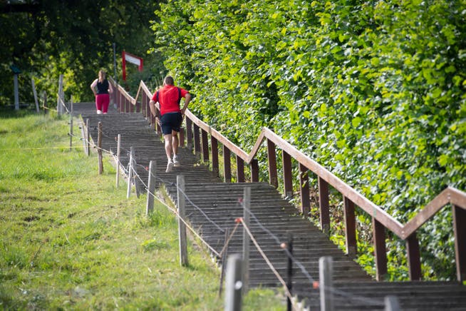 Fitnesstraining, gratis und an der frischen Luft: Am Stägestadt-Tag wird die St.Galler Gesstreppe zum Eventort und zur Bühne. 