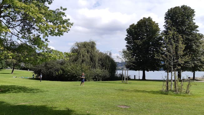 Seeufer in Zürich Wollishofen: Die Initianten kämpfen auch gegen eine Überbauung am Rand dieser Grünfläche.