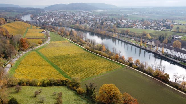 Die Energiestadt Diessenhofen am Rhein setzt künftig auf Biogas.