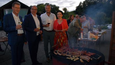 Peter Sutterlüti, Markus Dieth, Christoph Nyfeler und Marianne Binder-Keller am Parteitag der «Mitte Aargau». (Toni Widmer)