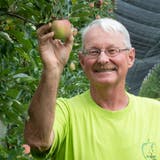 Apfelbauer Meinrad Suter hat gut lachen in seiner Plantage in Münzlishausen auf der Baldegg: Der Regen hat das Obst kaum beschädigt. (Bild: Alex Spichale)