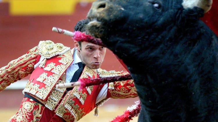 Der Stierkampf ist in Spanien eine Tradition. Nun hagelt es Rassismusvorwürfe. (EPA EFE)