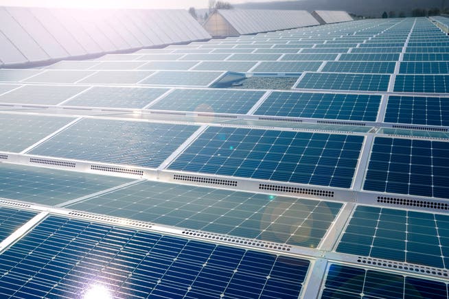Wer Solarstrom produziert, soll in Zukunft mehr Geld erhalten.